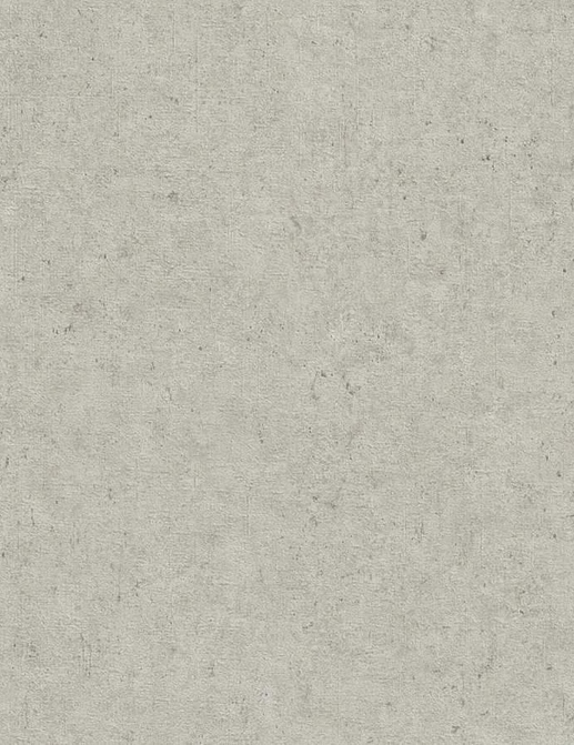Обои Rasch Настенные структуры. Том 4 / Wall Textures XL Vol. 4 974225