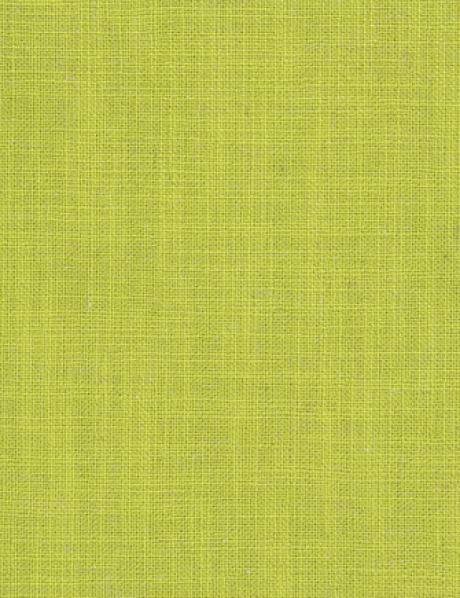 Ткань Designers Guild Panaro F1869/19