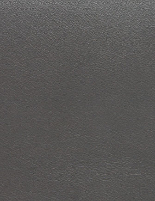 Ткань Holly Hunt Holly Hunt Leather 9902/11