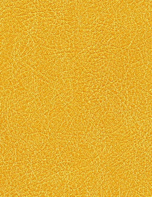 Обои Elitis Cuirs Leathers VP69014