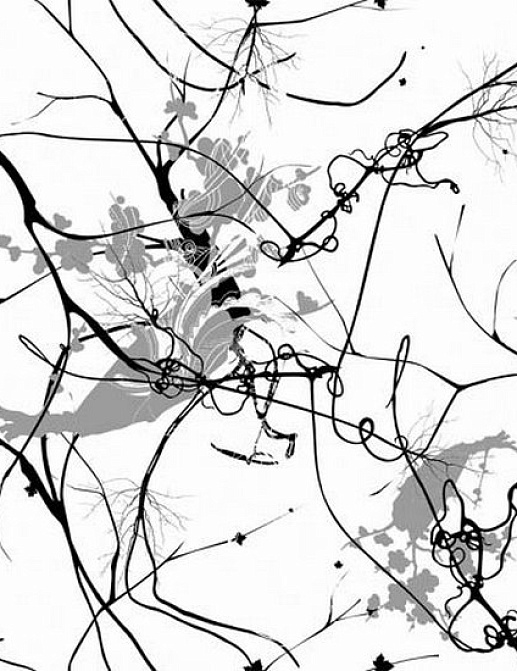 Обои Tres Tintas BCN All city papers 1986-1