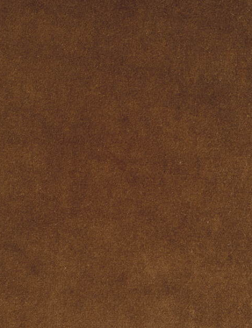 Ткань Bart Halpern Velveteen 18100-13