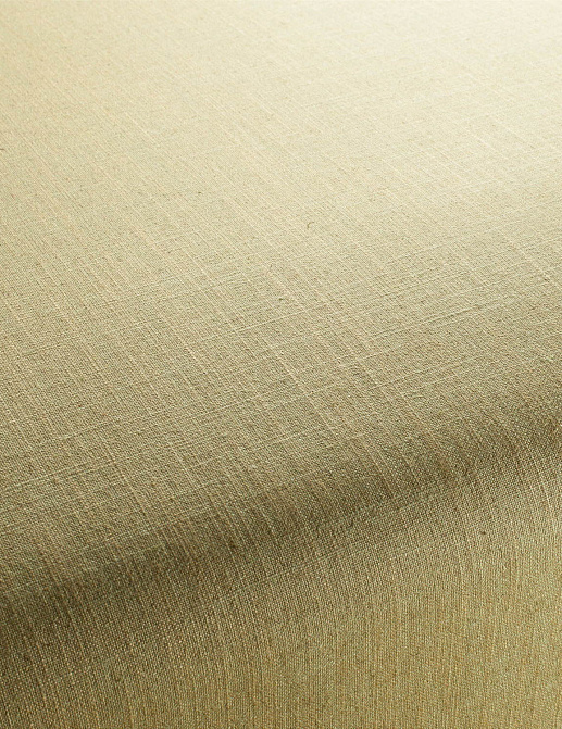 Ткань Chivasso Carlucci di Chivasso Two-Tone vol.2 CA7655/035