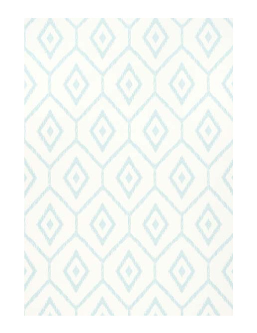 Обои Thibaut Caravan T64136