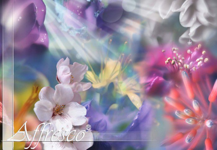 Панно и фотообои Affresco Modern Series ms535