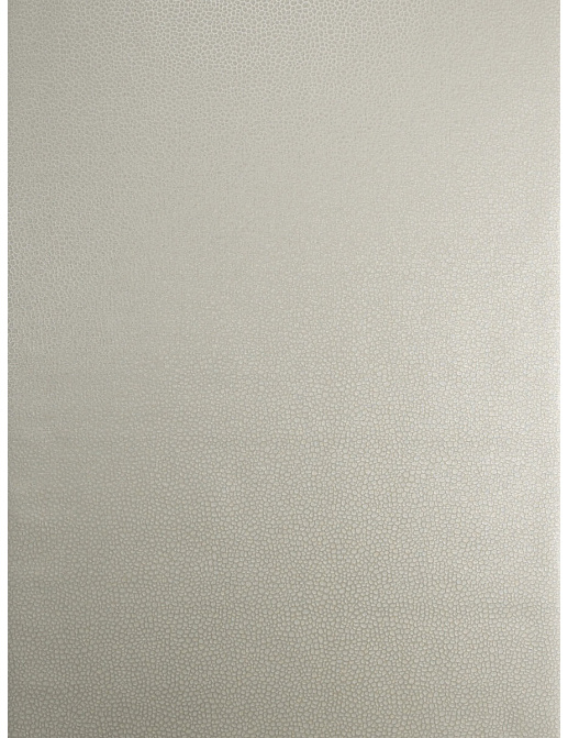 Обои Trend Vern Yip W30016/01