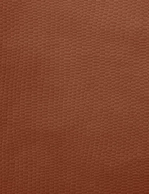 Ткань Ashley Wilde Hugo Hugo/Terracotta