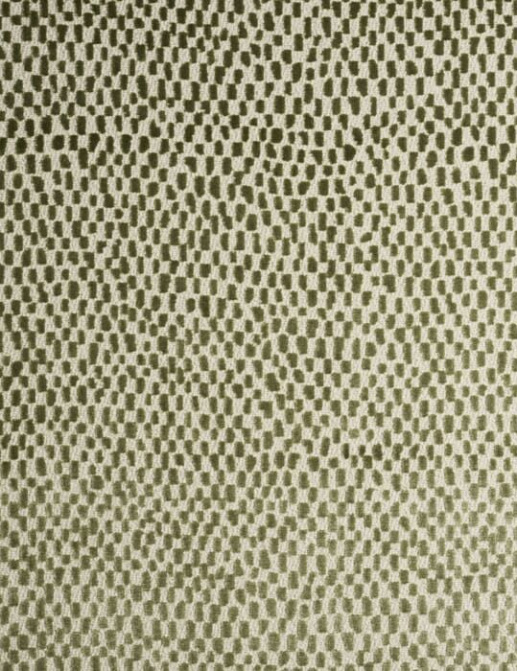 Ткань KAI Asante Zola/Moss