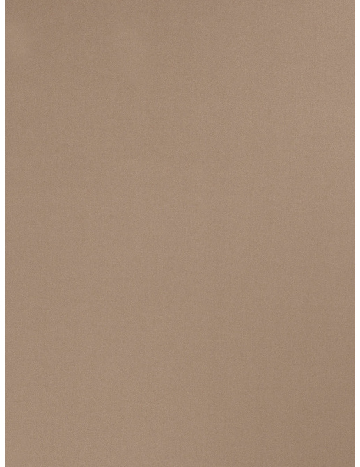 Ткань Trend Multipurpose Sleek Satin Vol.II 02022/Sable