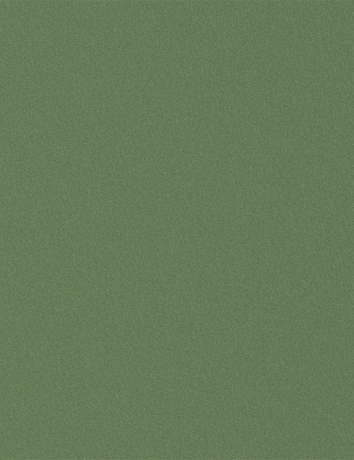 Ткань Designers Guild Tiber Eco FDG3269/31