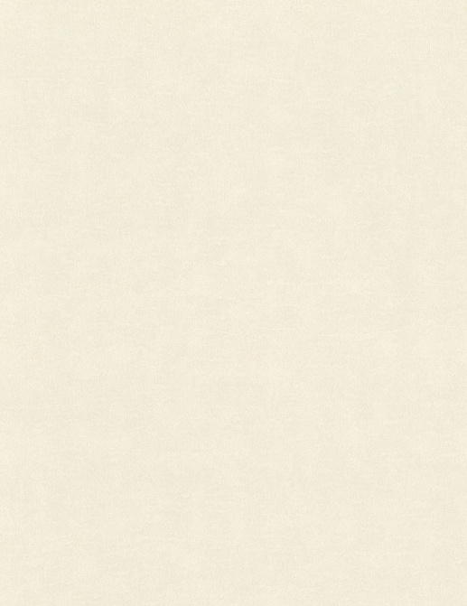 Обои Rasch Wall Textures XL Vol3 965001