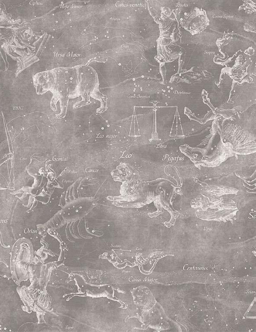Панно и фотообои Affresco Цветариум Uranographia Color 4