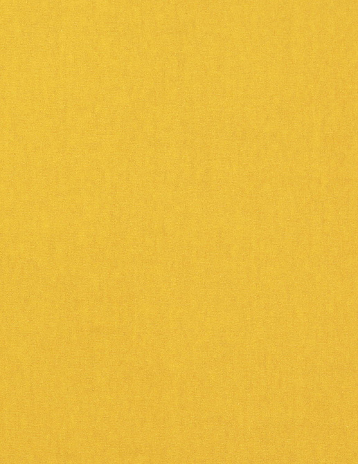 Ткань Manuel Canovas Rivoli II 04982/60