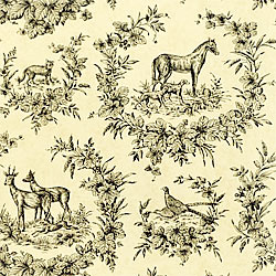 Ткань Thibaut Toile Resource II F99758