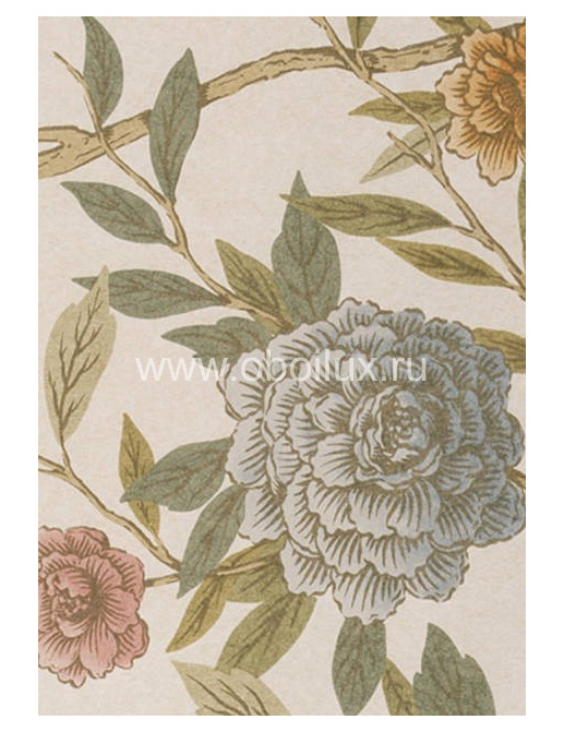 Обои Lewis & Wood Wide Width Wallpapers LW14534/China Rose Vintage