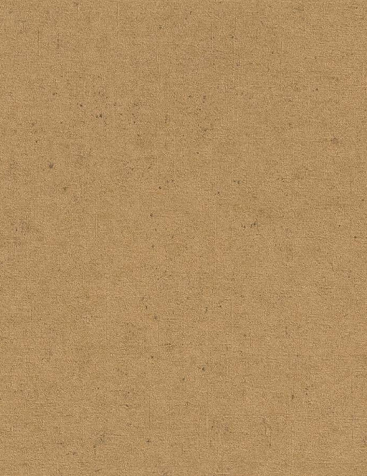 Обои Rasch Concrete 520897