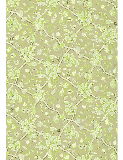Ткань Thibaut Anniversary Prints F96034