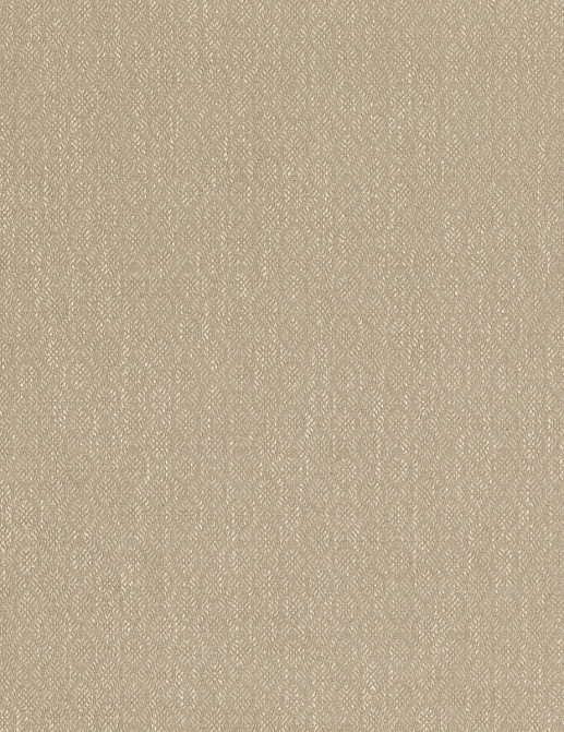 Ткань Baker Lifestyle Block Weaves PF50488/140