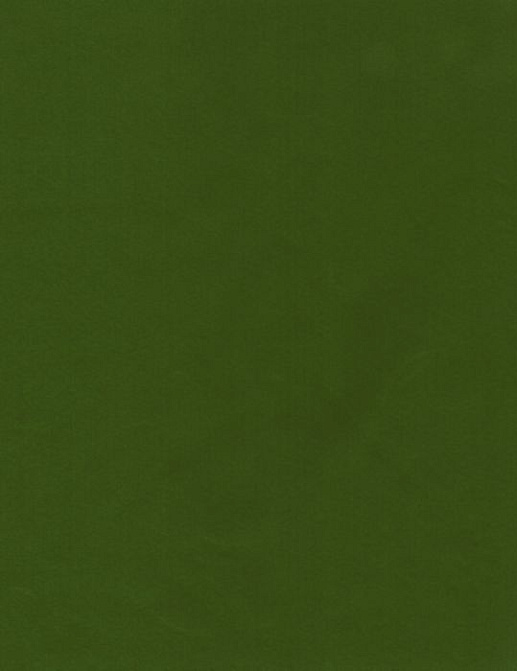 Ткань KAI Koji Koji/Fern