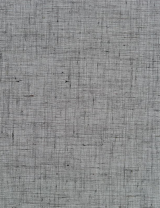 Обои Phillip Jeffries Tailored Walls 5564