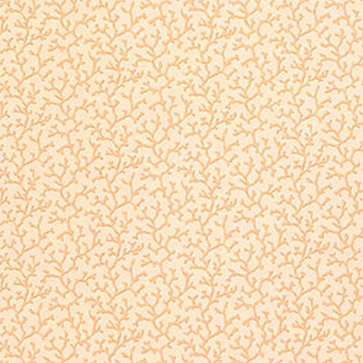 Обои Thibaut Barbados T1637