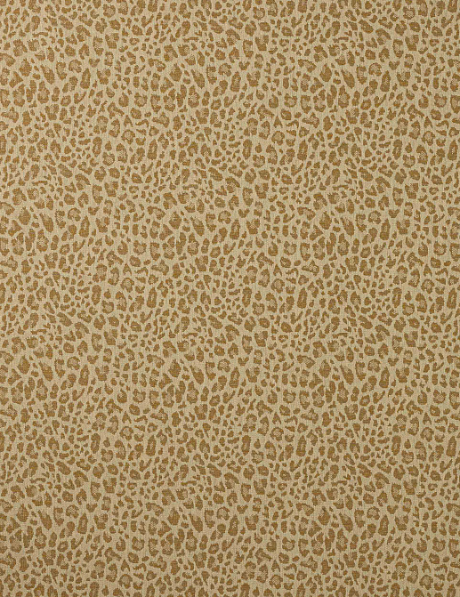 Ткань Colefax and Fowler Chester F4854/06