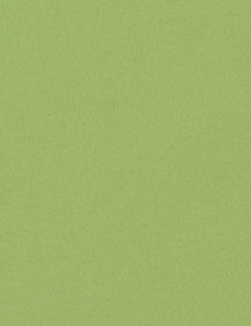 Ткань Designers Guild Aviano F1911/21