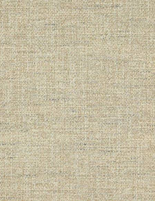 Ткань Colefax and Fowler Brett Weaves F4633/04