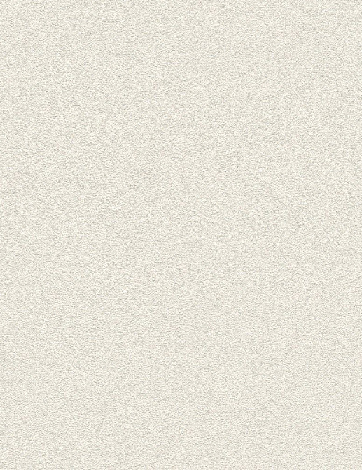 Обои Rasch Passepartout 606638