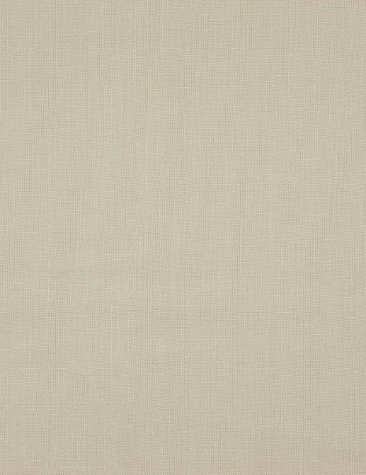 Ткань Daylight Canvas Canvas/Ecru