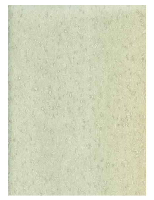 Обои Prestigious Textiles Pure 1928-390