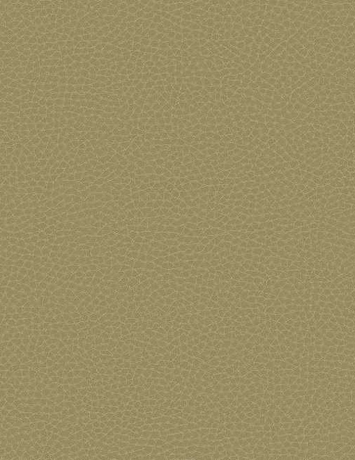 Обои Carl Robinson Edition 17 - Loft CR83005