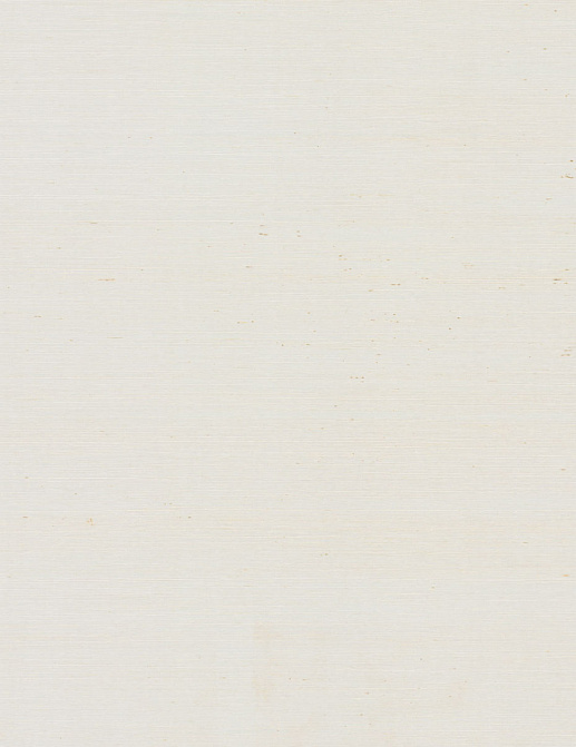 Обои York Ronald Redding Grasscloth & Natural Resource VG0000NW