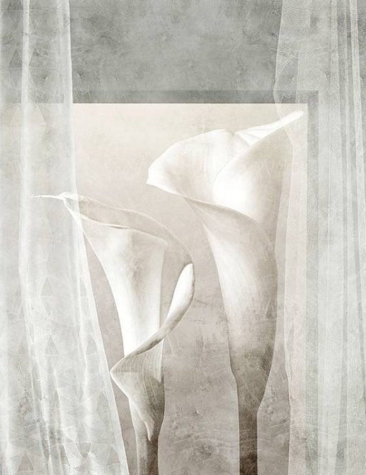 Панно и фотообои Skinwall Contemporary Collection 122