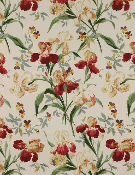 Ткань Colefax and Fowler Classic Prints I F1407/03