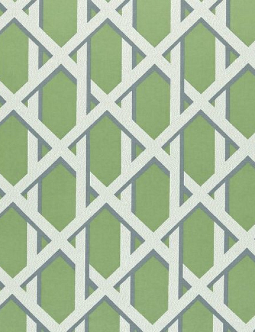 Ткань Ashley Wilde Palm House Lattice/Kiwi