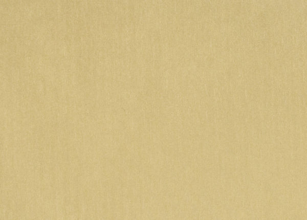 Ткань Designers Guild Brenan F1632/24