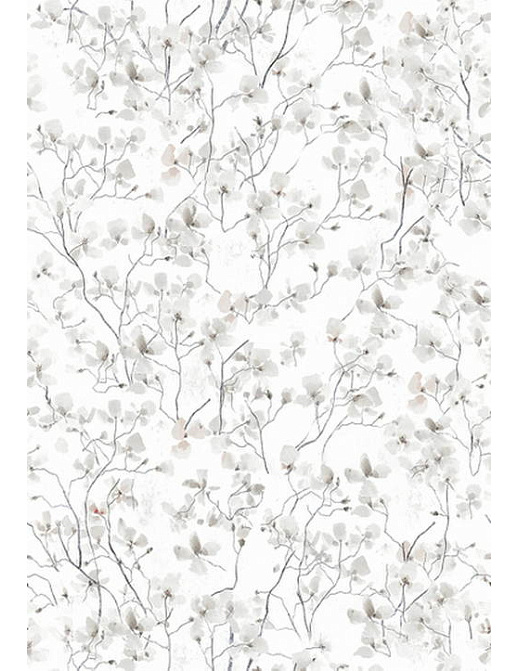 Обои Wall & Deco Elements TSRA028