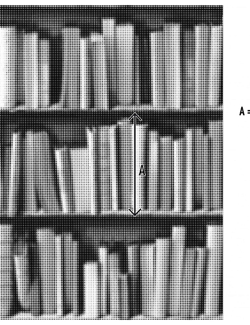 Обои Koziel Volume 2 8888-81