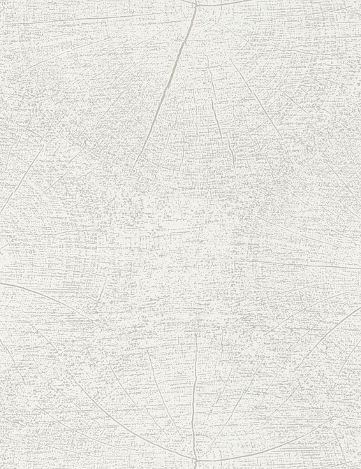 Обои Casadeco So White 4 SWHT83760101