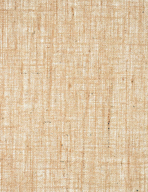 Обои Pierre Frey Natecru Textures n.2 FP939003