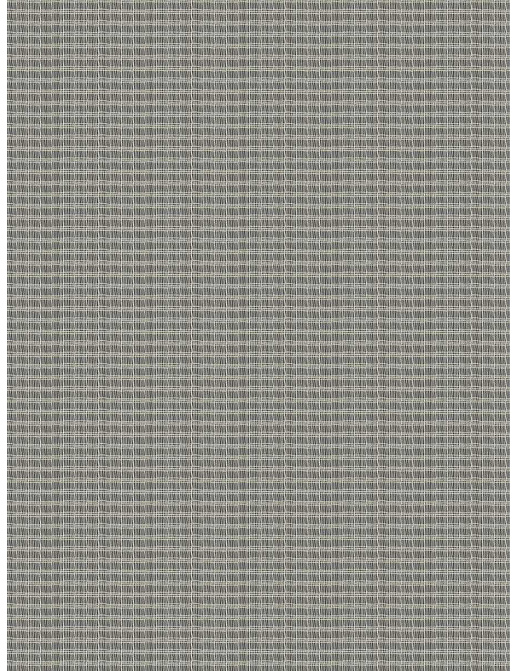 Ткань Fabricut Wide Natural Sheers Textural Breeze Pearl Kaver/White