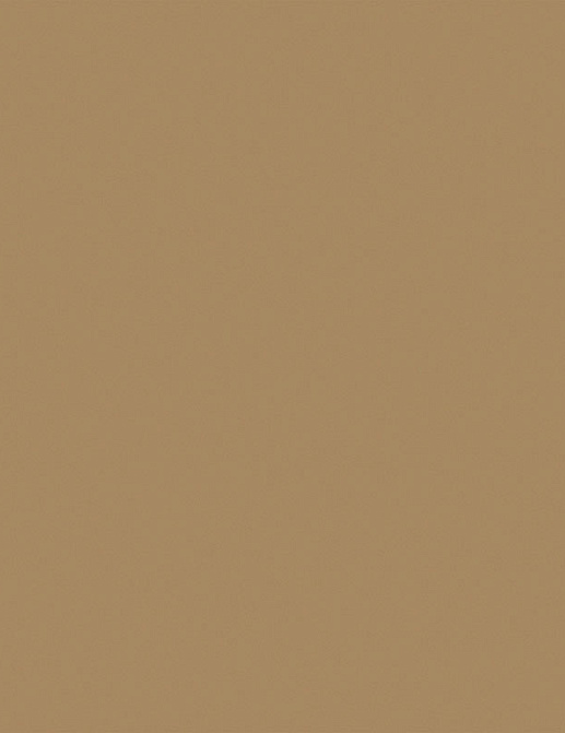 Обои Loymina Golden Library SAT3005/1