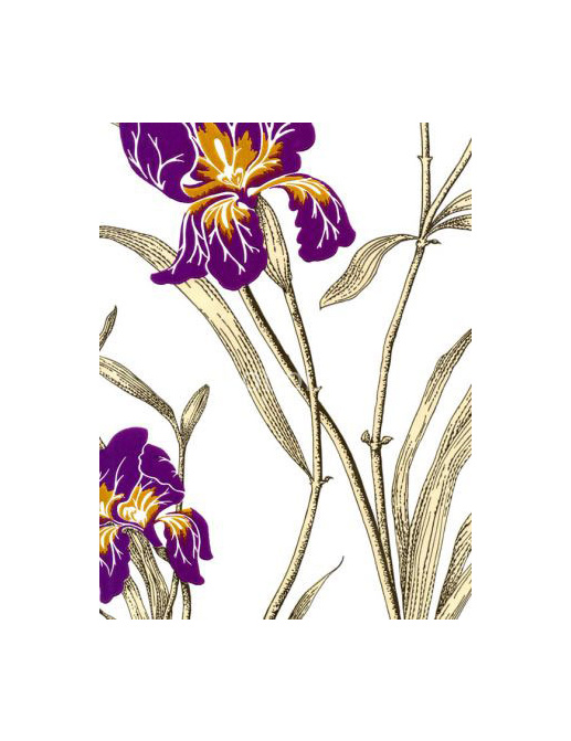 Обои Cole & Son The Contemporary III 83/2005