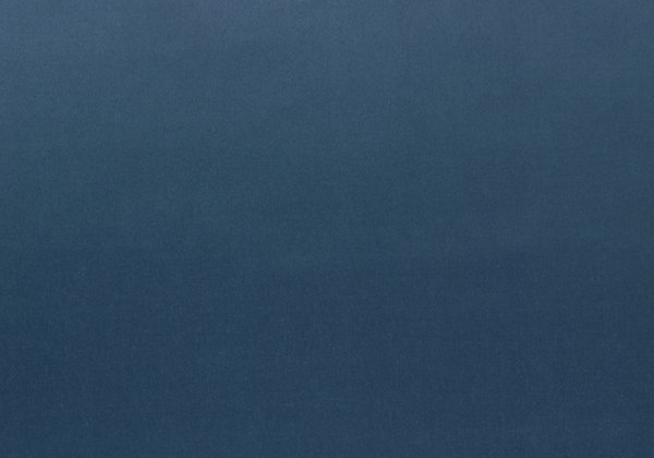 Ткань Designers Guild Santiago F1649/36