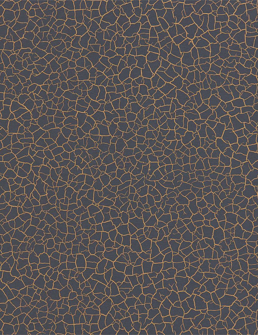 Обои Zoffany Oblique 312838