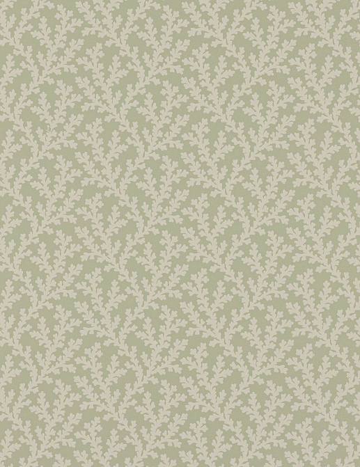 Обои Colefax and Fowler Ashdown Wallpapers W7020/04