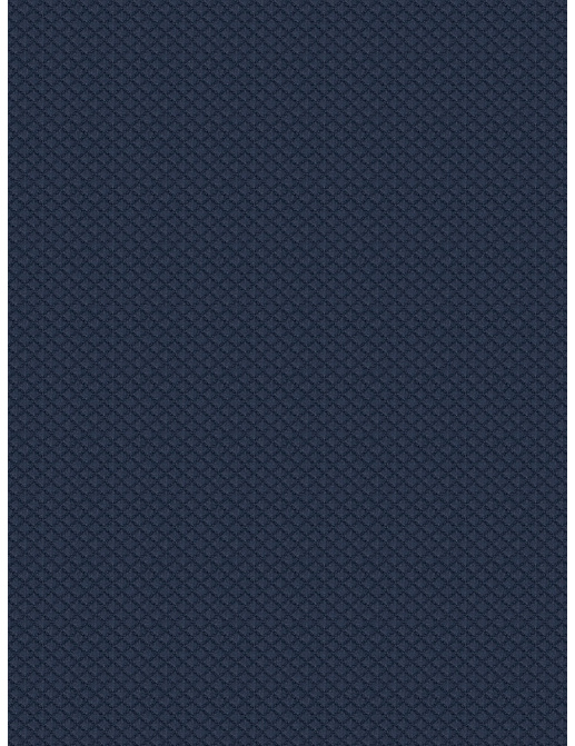 Ткань Fabricut Color Studio Vol.VII Navy Gifted/#01