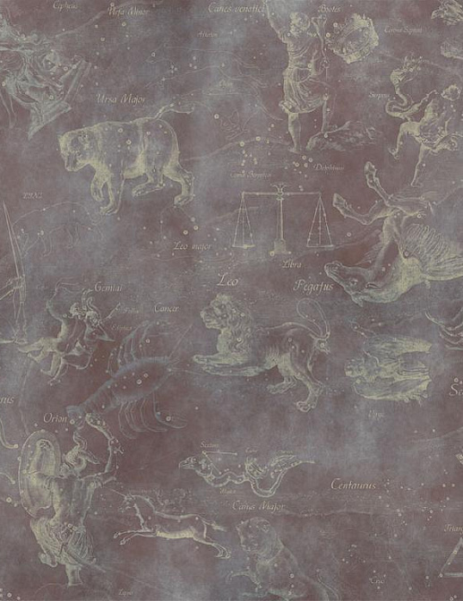 Панно и фотообои Affresco Цветариум Uranographia Color 1