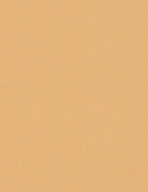 Обои A. S. Creation Speranza 95615-5